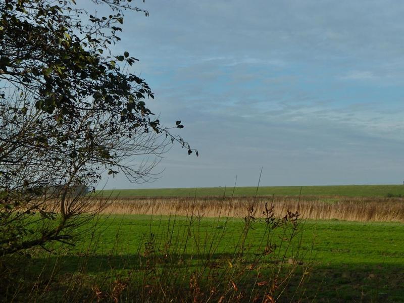 Deichbrise Villa Greetsiel Bagian luar foto